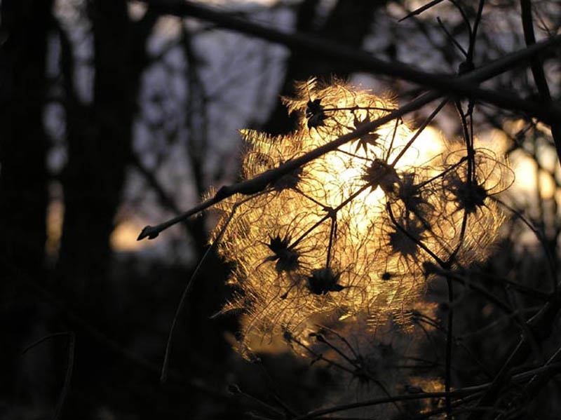 miroslavVajdic (196)